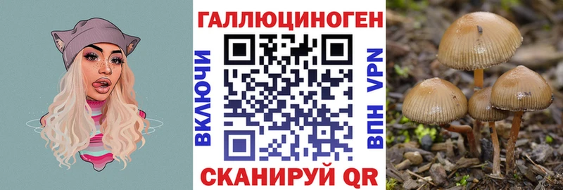 купить наркотик Калач Галлюциногенные грибы GOLDEN TEACHER